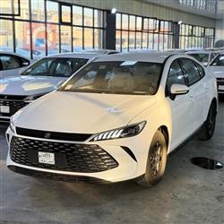 بی وای دی Qin Plus